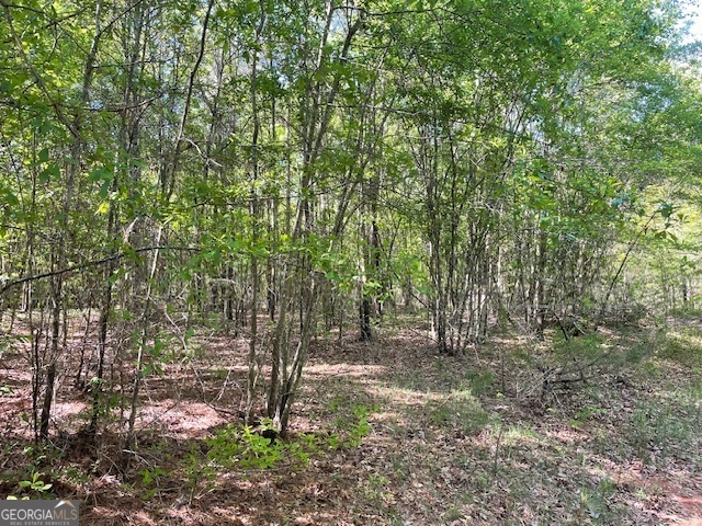 Nestled in the desirable area of Barnesville, GA, this 10.35-acre wooded lot offers beautiful hardwoods along with a potential pond site; Wildlife includes plenty of deer and turkey...hunt on your own land! Build your dream home, establish a private estate, or create a recreational paradise. Endless potential! Enjoy the charm of small-town living with quick access to downtown Barnesville, local parks, and nearby schools. Only a short drive from Griffin, GA, and major highways. Need more acreage? Ask listing agent about the potential to purchase additional acreage.