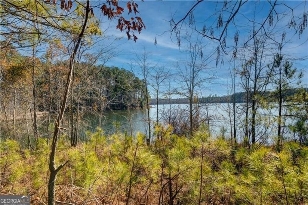 Photo of 697 Moccasin Gap Road, Jackson, GA 30233 (MLS # 10673057)