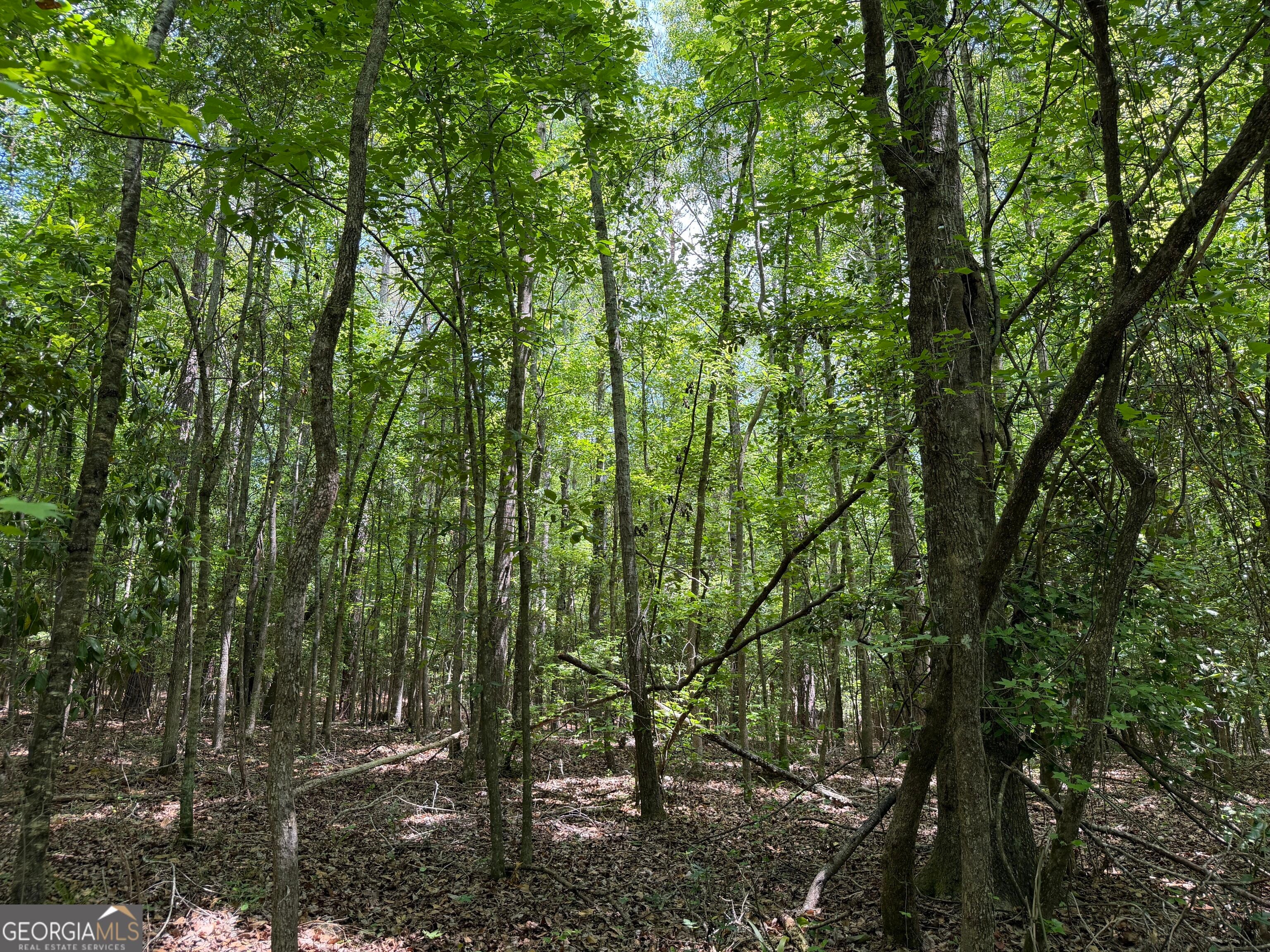 004 Little Sandy Creek RD