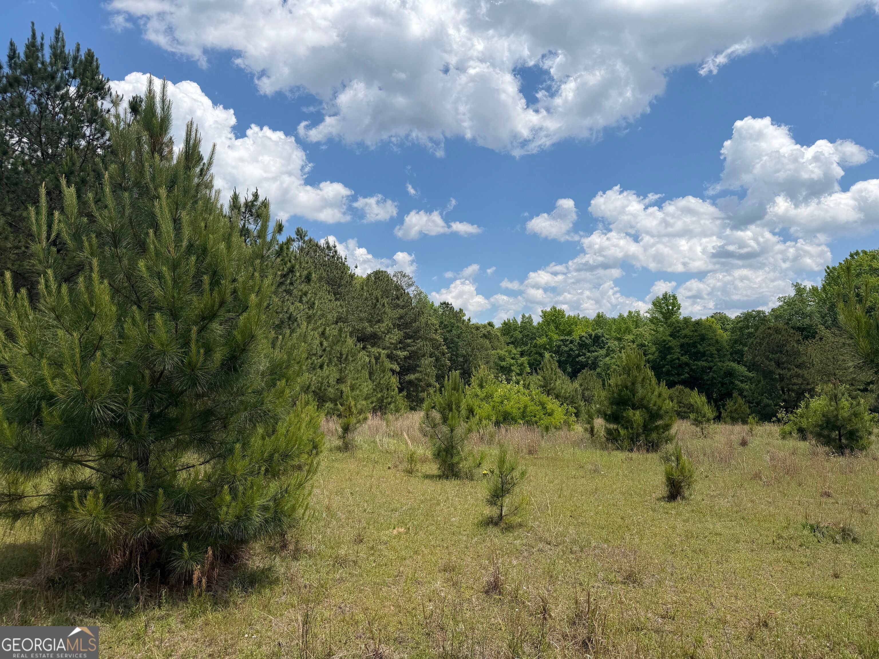 004 Little Sandy Creek RD