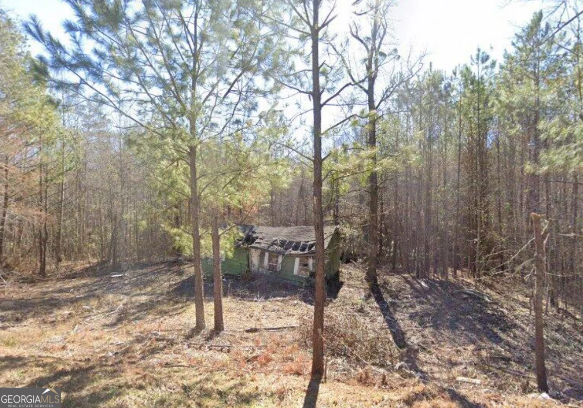 6204 Highway 72 E, Carlton, GA, 30627