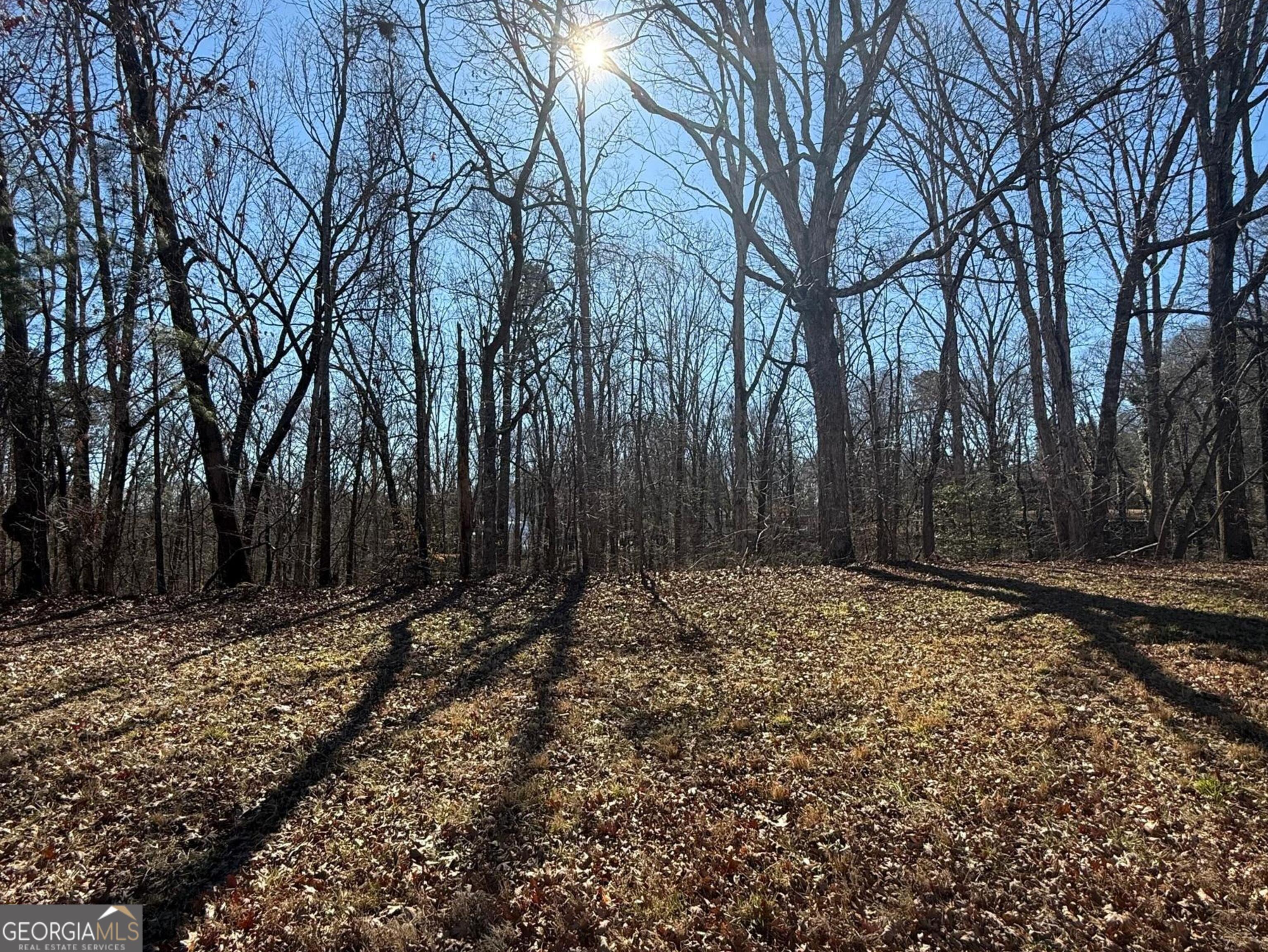 3197 Thompson Bridge RD