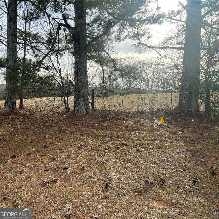 Photo 1 of 1 — 0 Hwy 29 Sou, Lawrenceville, GA 30045