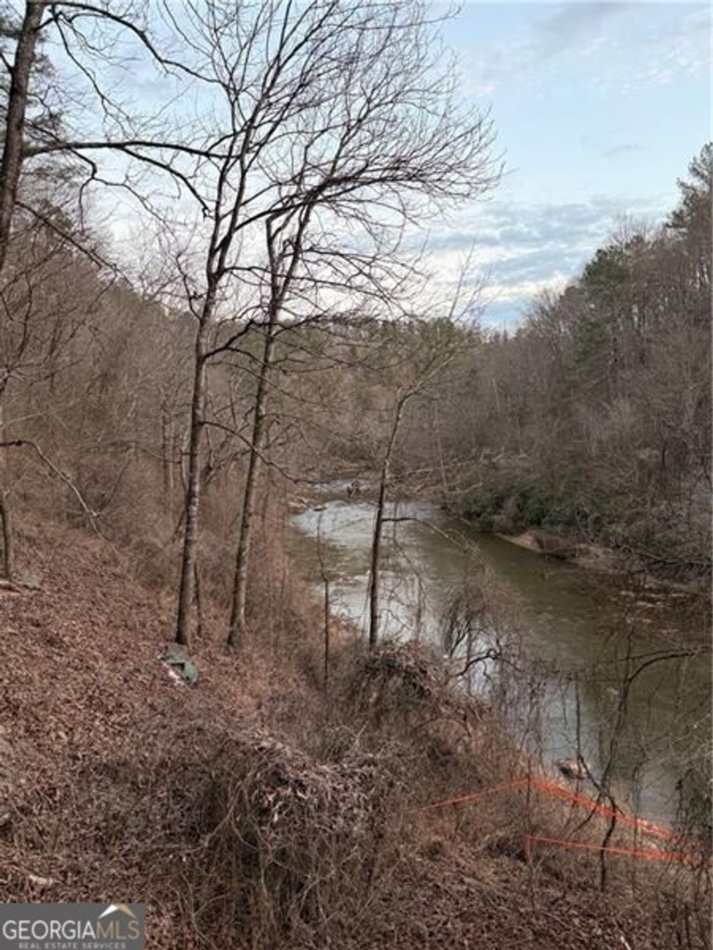 Photo of 0 Shady Grove Church Road, Talking Rock, GA 30175 (MLS # 10767192)