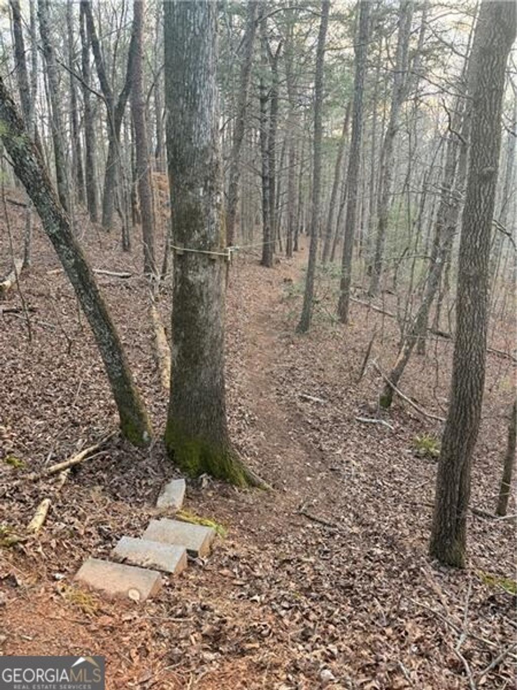 Photo of 0 Shady Grove Church Road, Talking Rock, GA 30175 (MLS # 10767192)