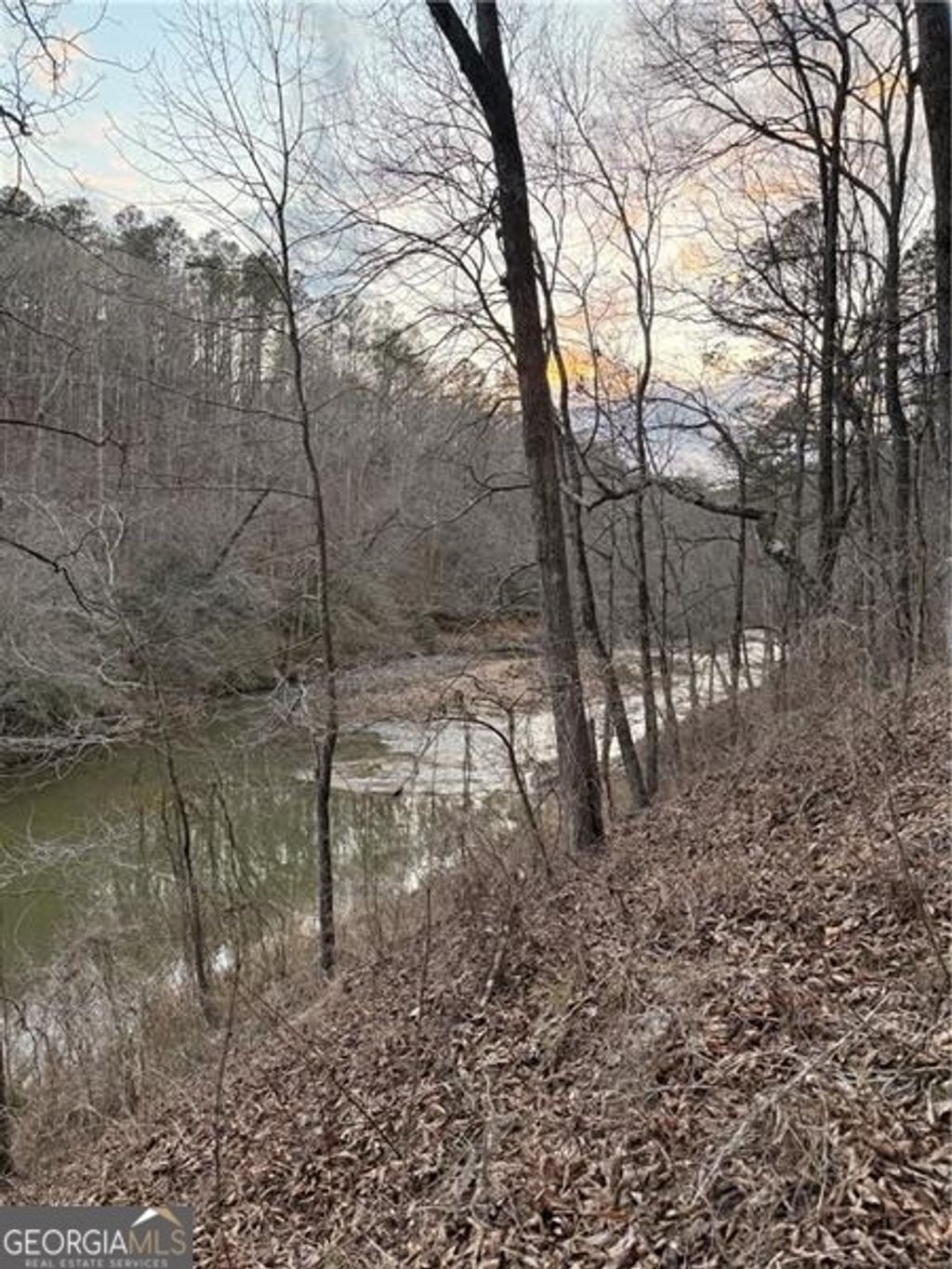 Photo of 0 Shady Grove Church Road, Talking Rock, GA 30175 (MLS # 10767192)