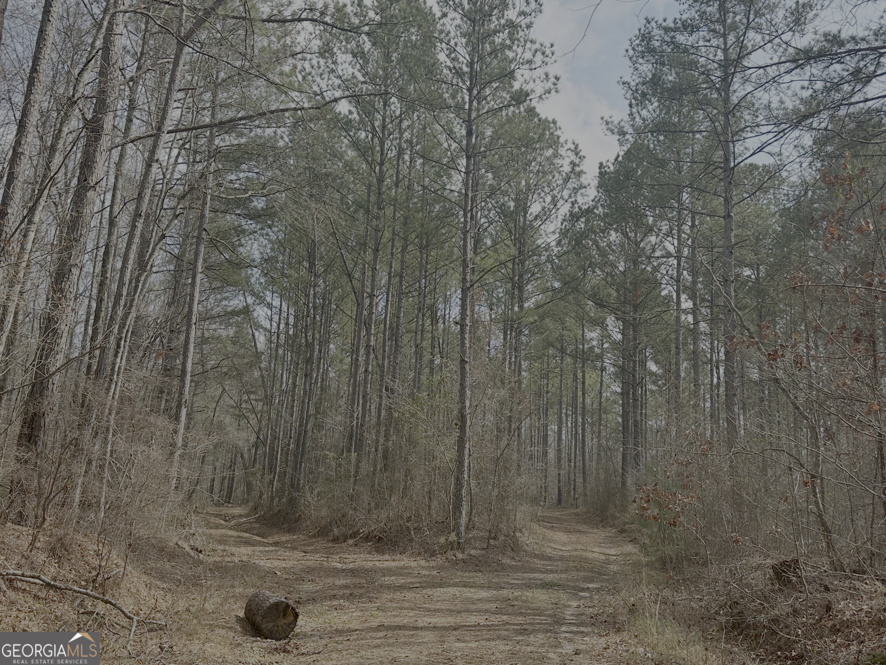 210.73 Acres
