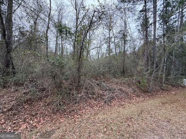 V/L 104 Satilla River Landing