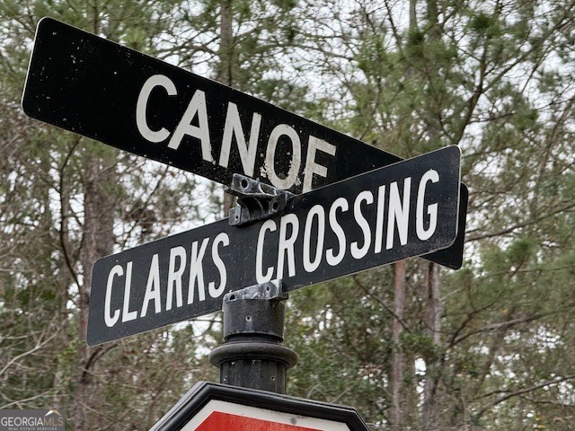 V/L 104 Satilla River Landing