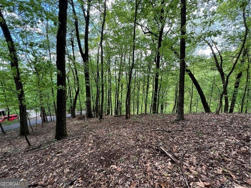 0 Valley View DR