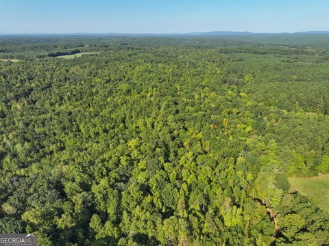 Photo of 140 +/- Acres on GA Hwy 100, Buchanan, GA 30113 (MLS # 10846761)