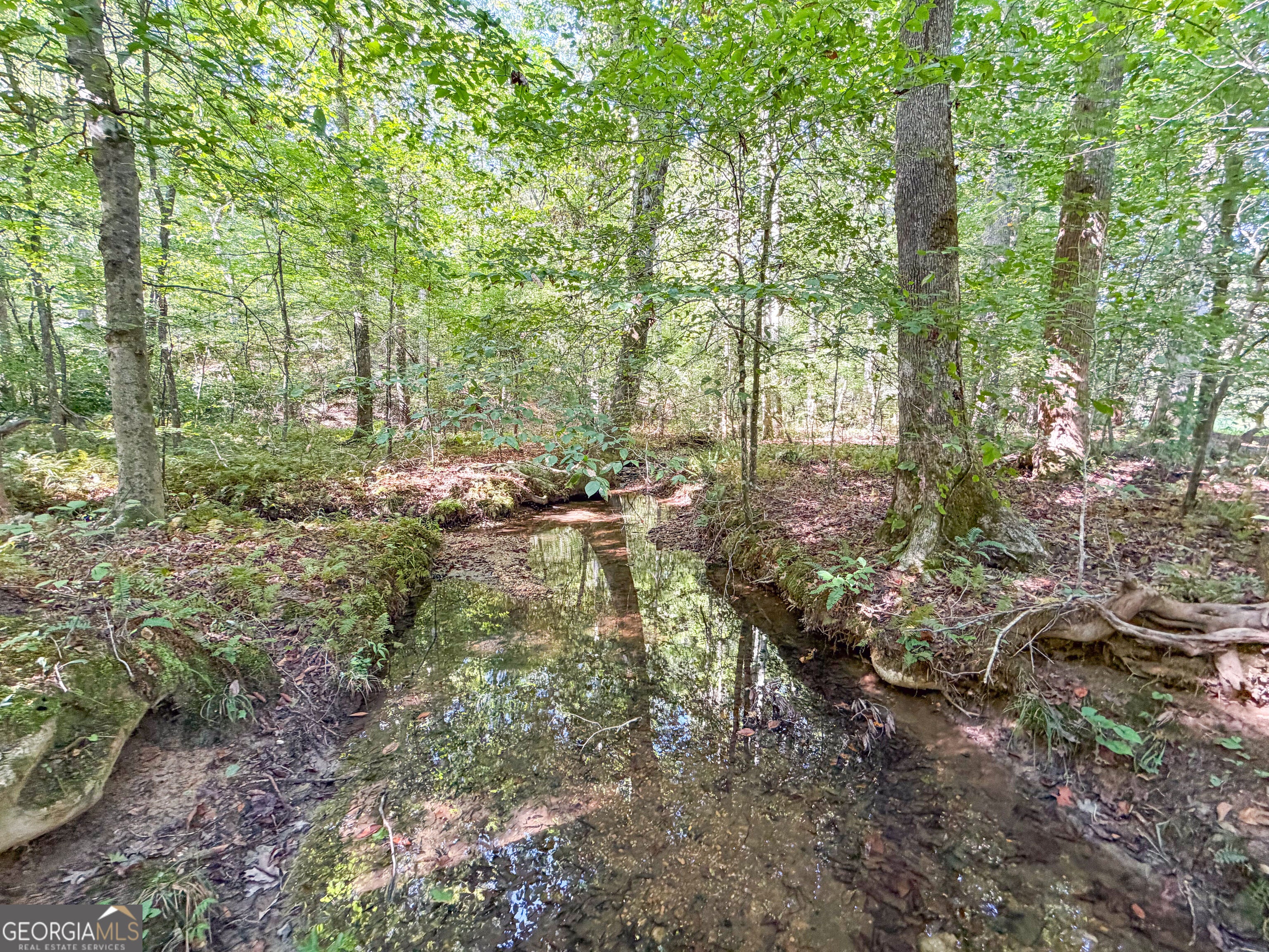 140 +/- Acres on GA Hwy 100