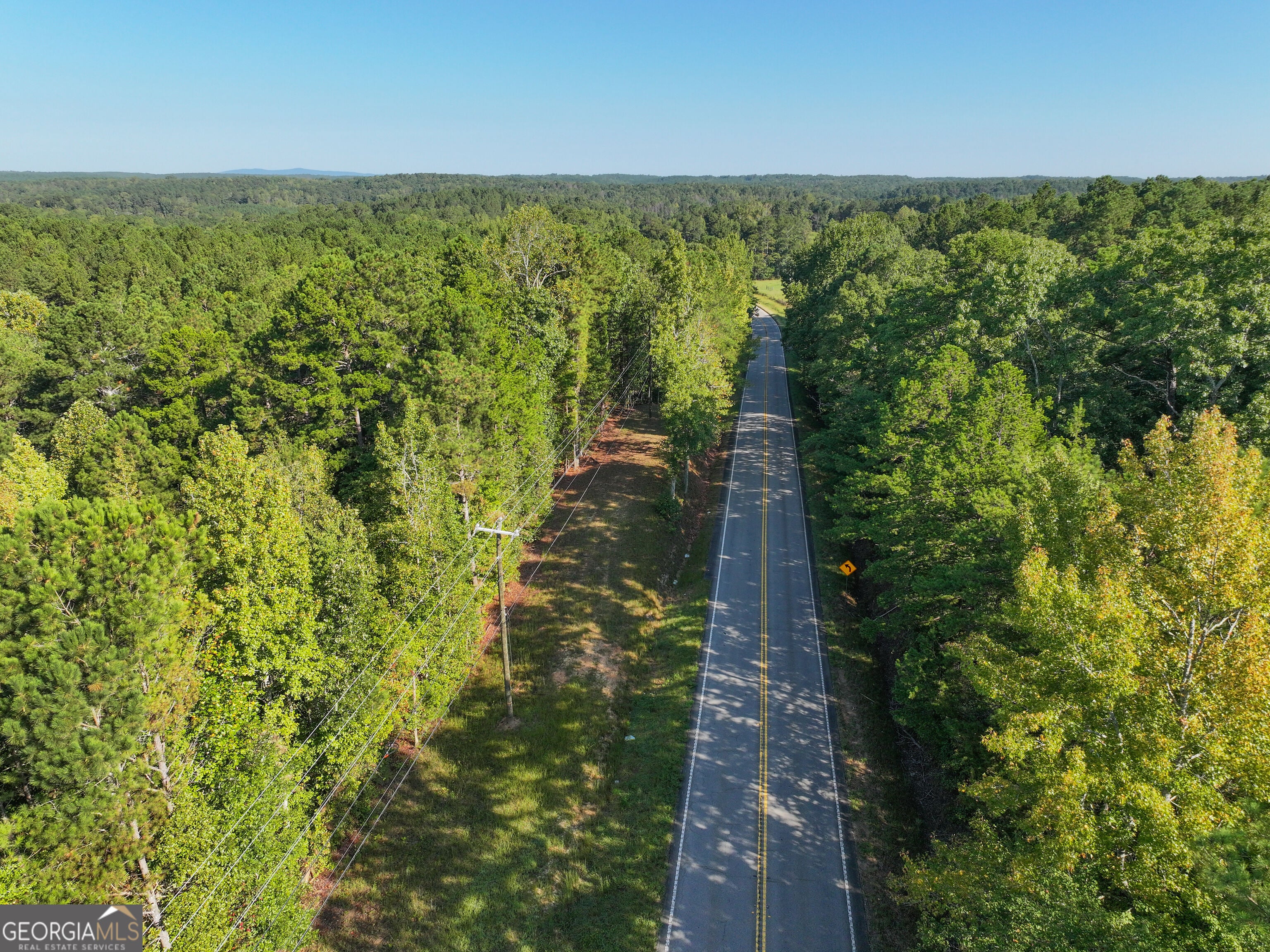 140 +/- Acres on GA Hwy 100