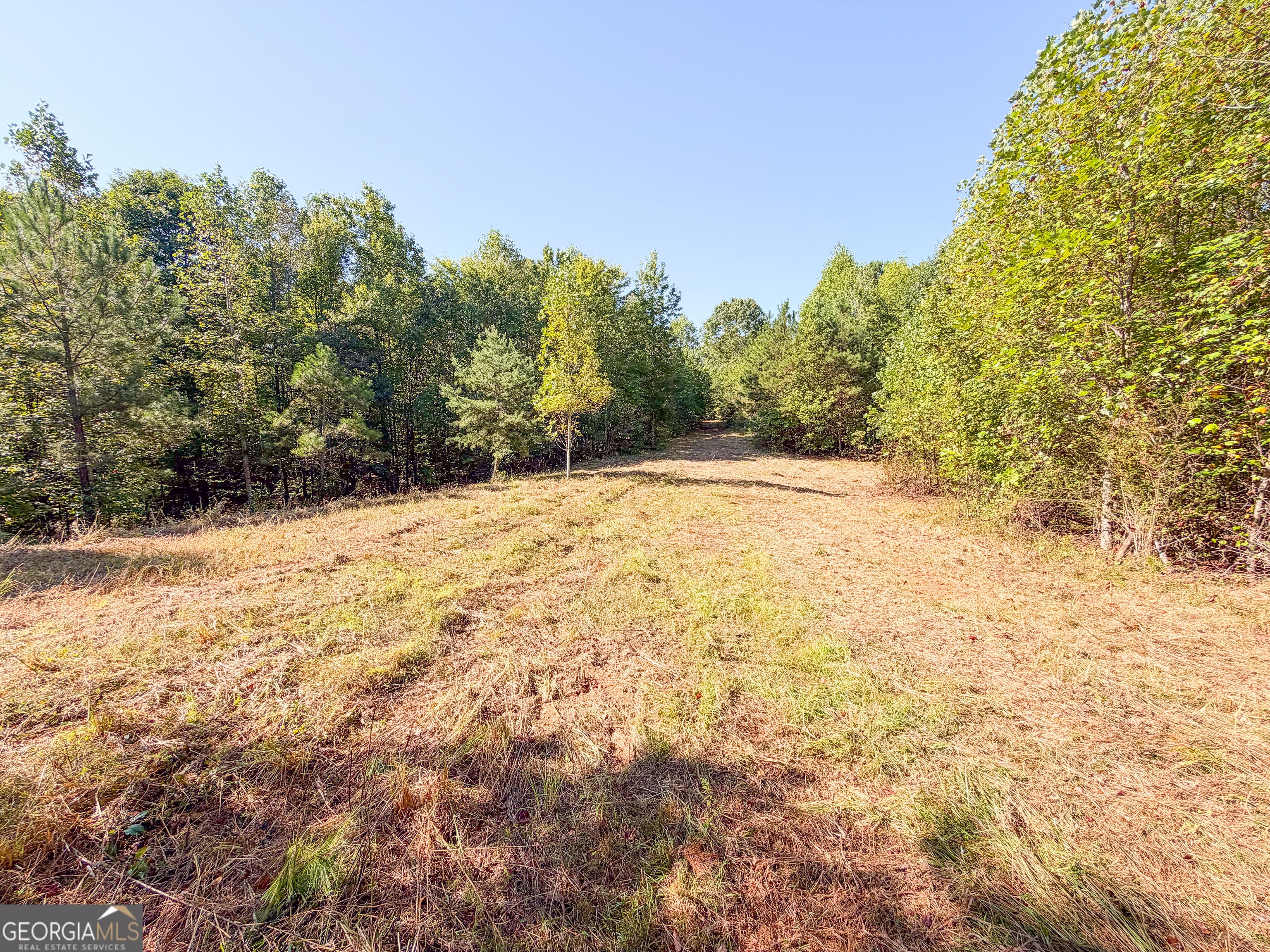 140 +/- Acres on GA Hwy 100