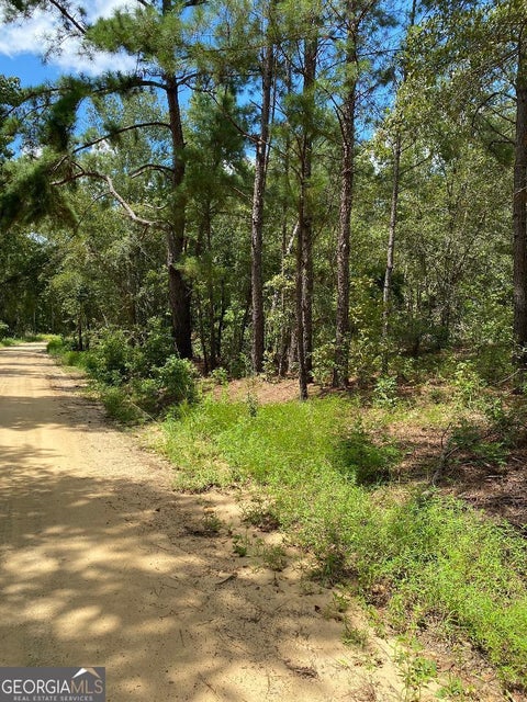 Photo for 0 Mt Zion Church RD