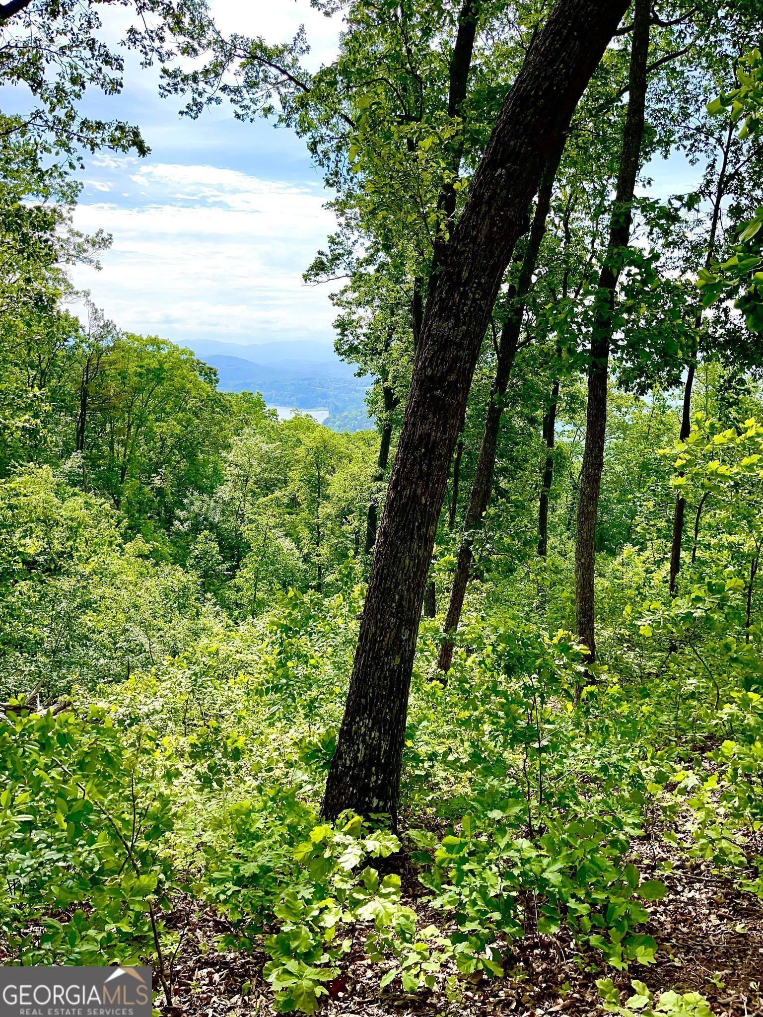 LOT 103 Highland Park