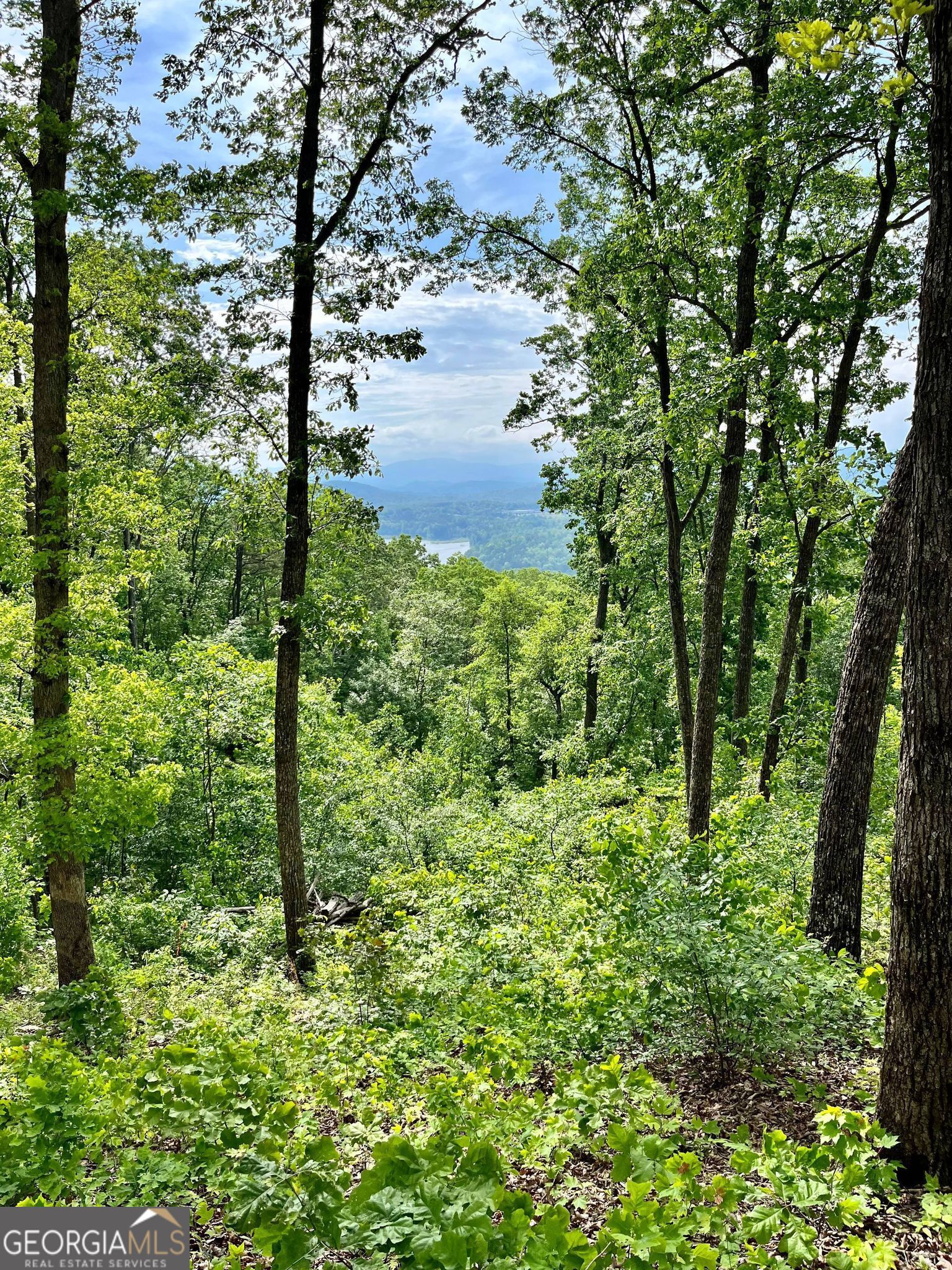 LOT 103 Highland Park
