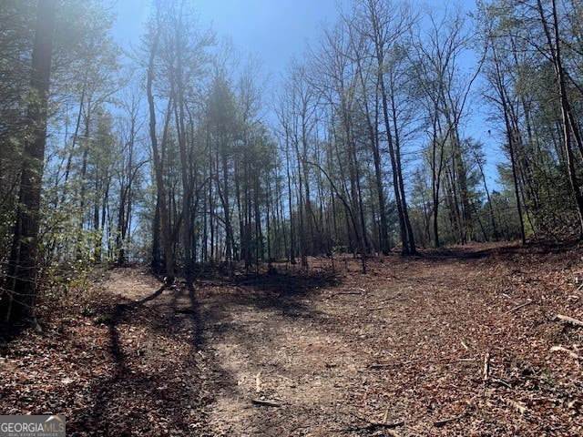 Photo of 0 East New Hope Road #TRACT A, Ellijay, GA 30536 (MLS # 10820991)