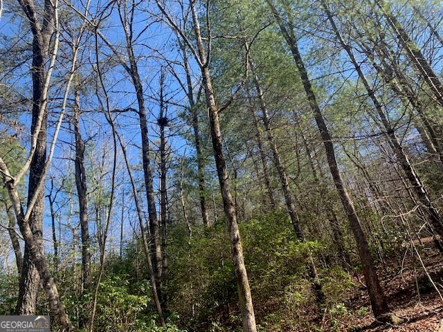 Photo of 0 East New Hope Road #TRACT A, Ellijay, GA 30536 (MLS # 10820991)