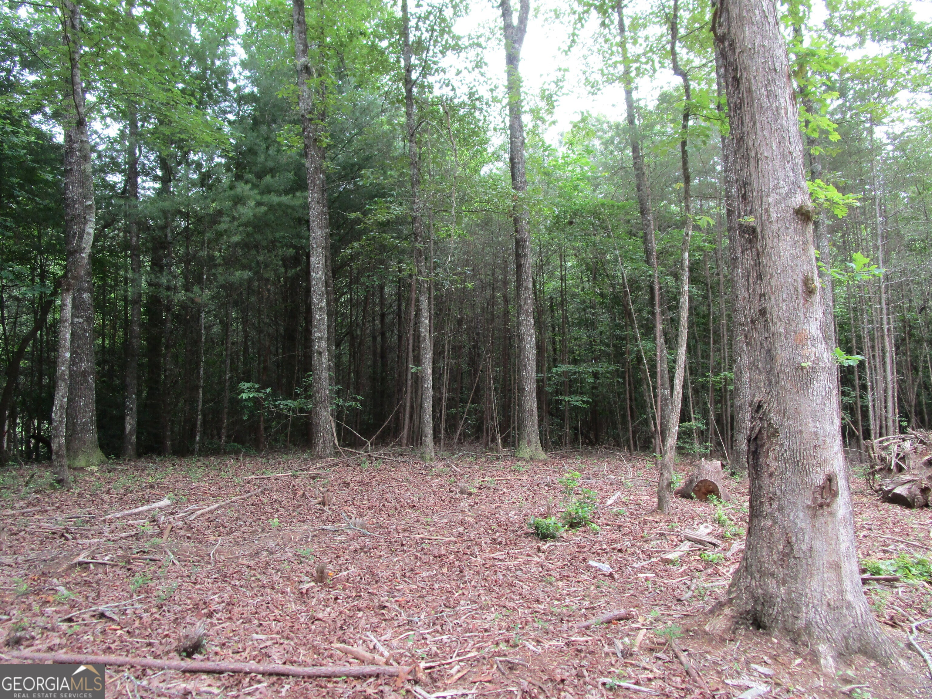 0 East New Hope RD TRACT A