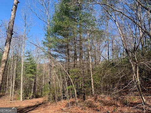 Photo of 0 East New Hope Road #TRACT A, Ellijay, GA 30536 (MLS # 10820991)