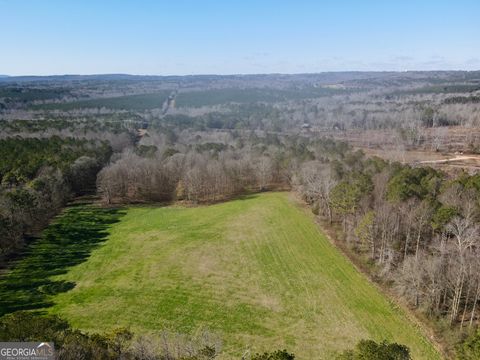 Photo of 1090 Kansas-Jake Rd, Waco, GA 30182 (MLS # 10677094)