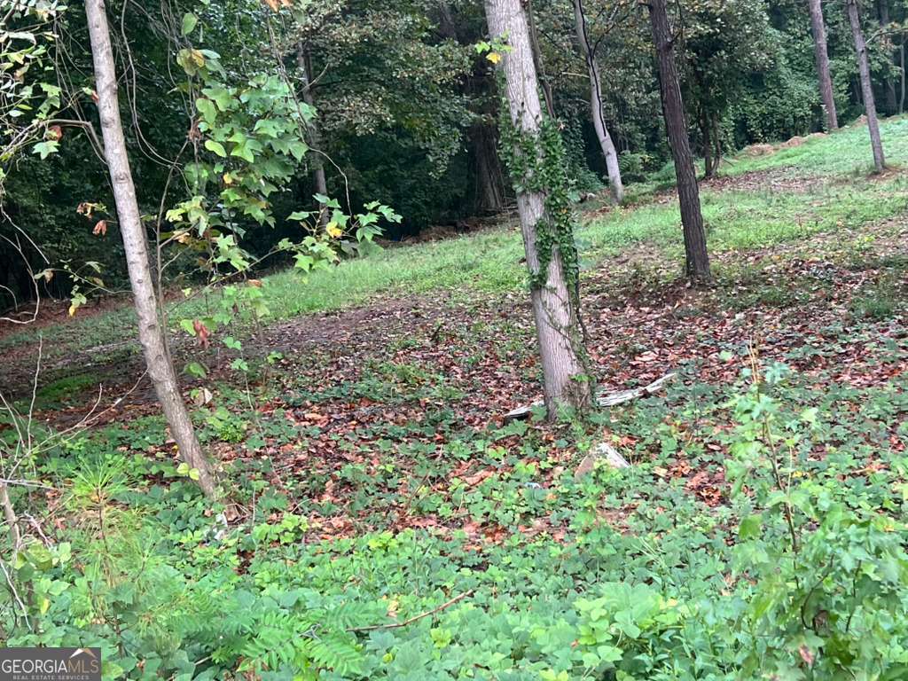 5160 Covington HWY 18