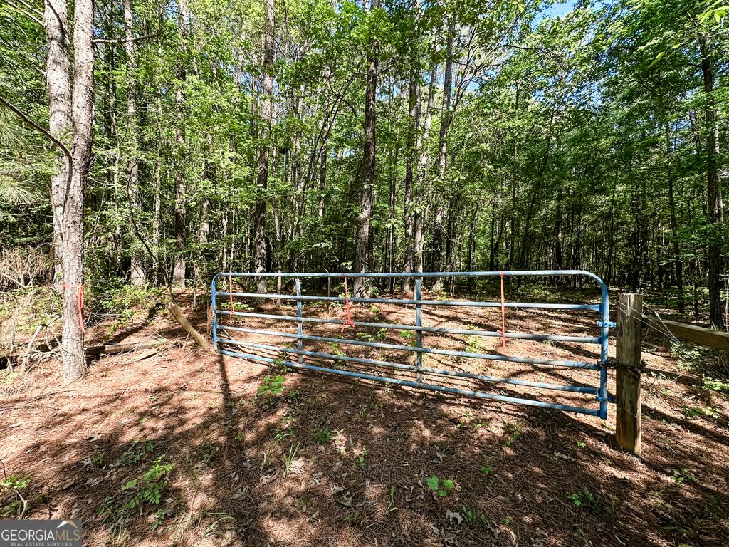 Photo of 0 Wehunt Road, Monticello, GA 31064 (MLS # 10757643)