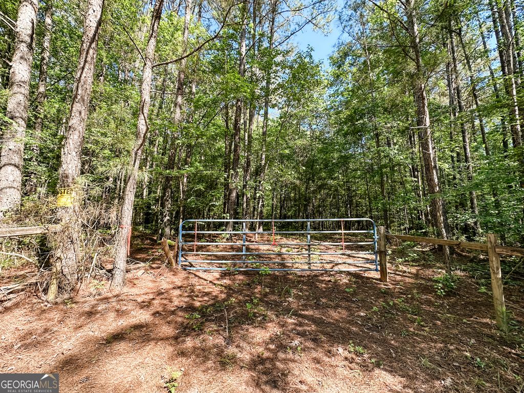 Photo of 0 Wehunt Road, Monticello, GA 31064 (MLS # 10757643)