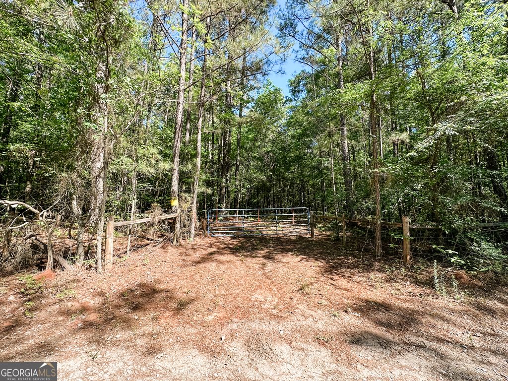 Photo of 0 Wehunt Road, Monticello, GA 31064 (MLS # 10757643)