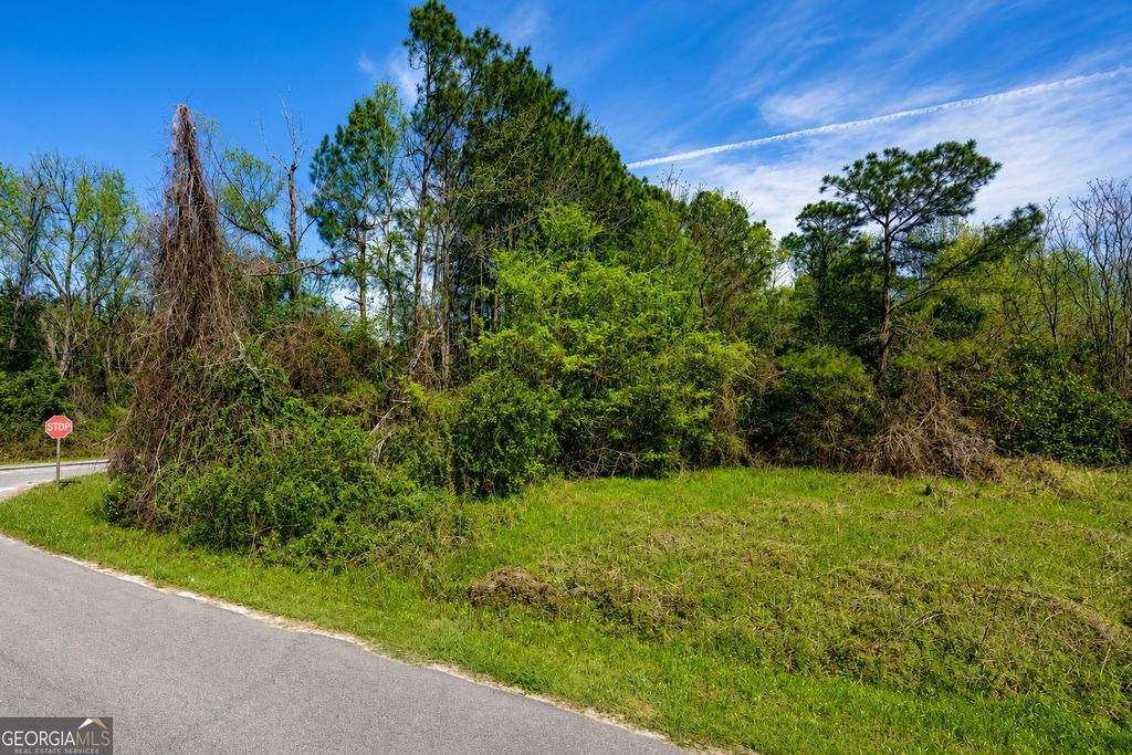 Photo of 80 Monnie Street, Ashburn, GA 31714 (MLS # 10758252)
