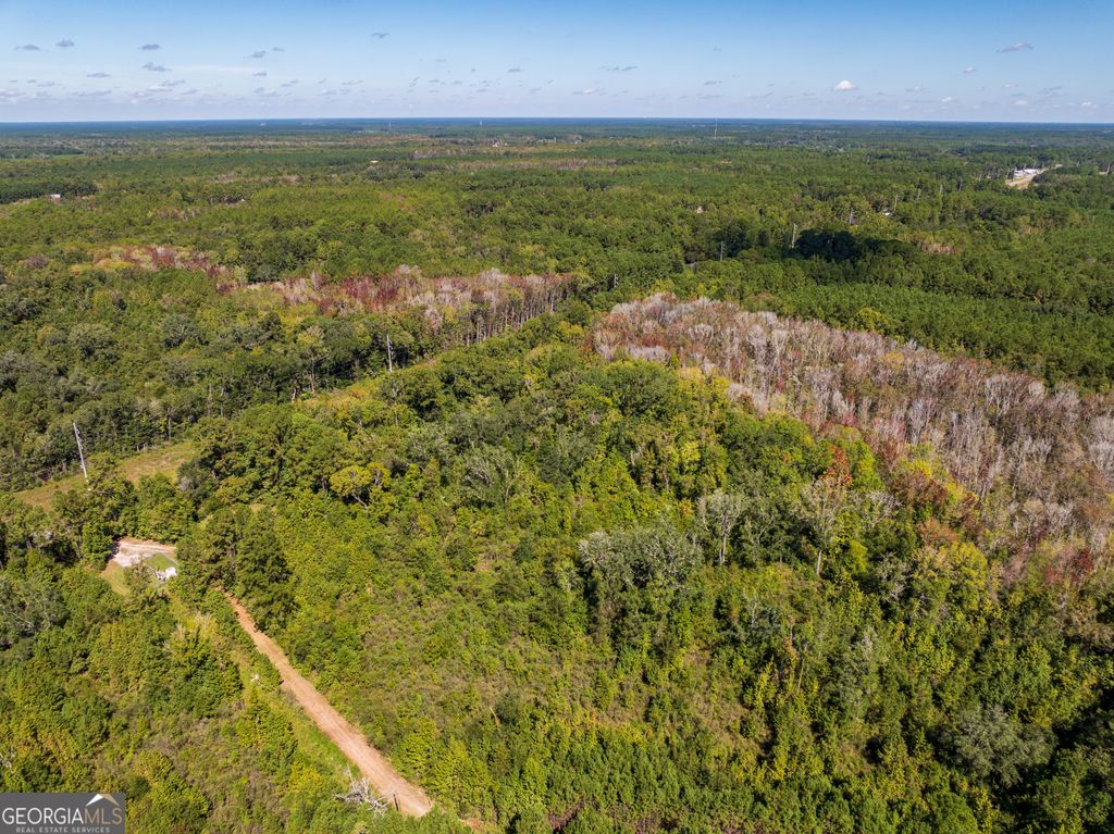 Photo of 441 Highway 17, Townsend, GA 31331 (MLS # 10652147)