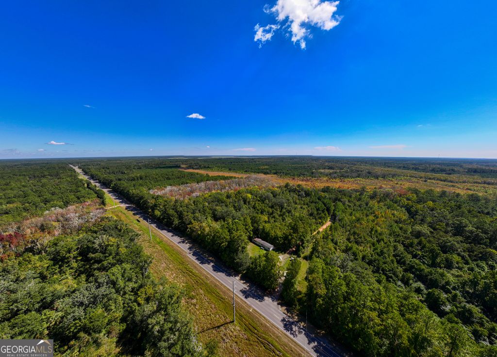 Photo of 441 Highway 17, Townsend, GA 31331 (MLS # 10652147)