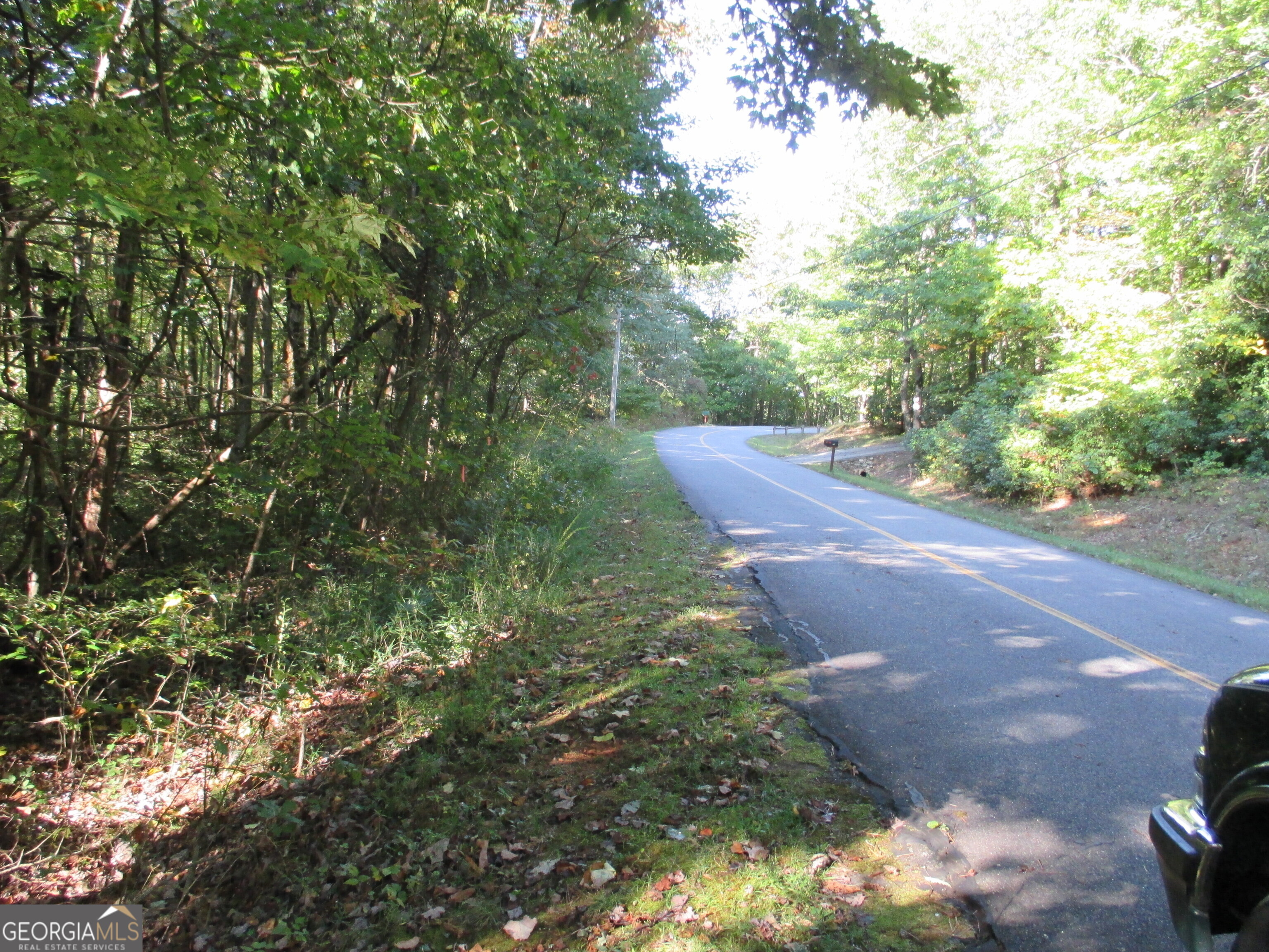 0 Lower Sassafras PKWY