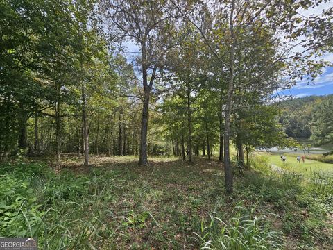 42 Lookout PT Toccoa GA 30577