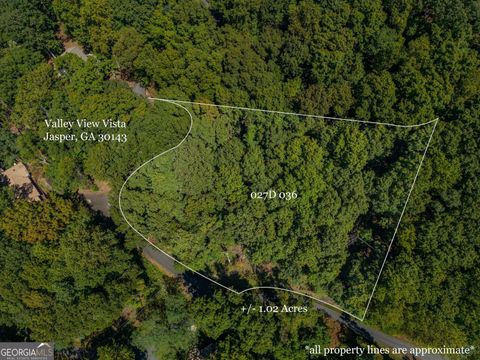 Photo of 0 Valley View Vista, Jasper, GA 30143 (MLS # 10622750)