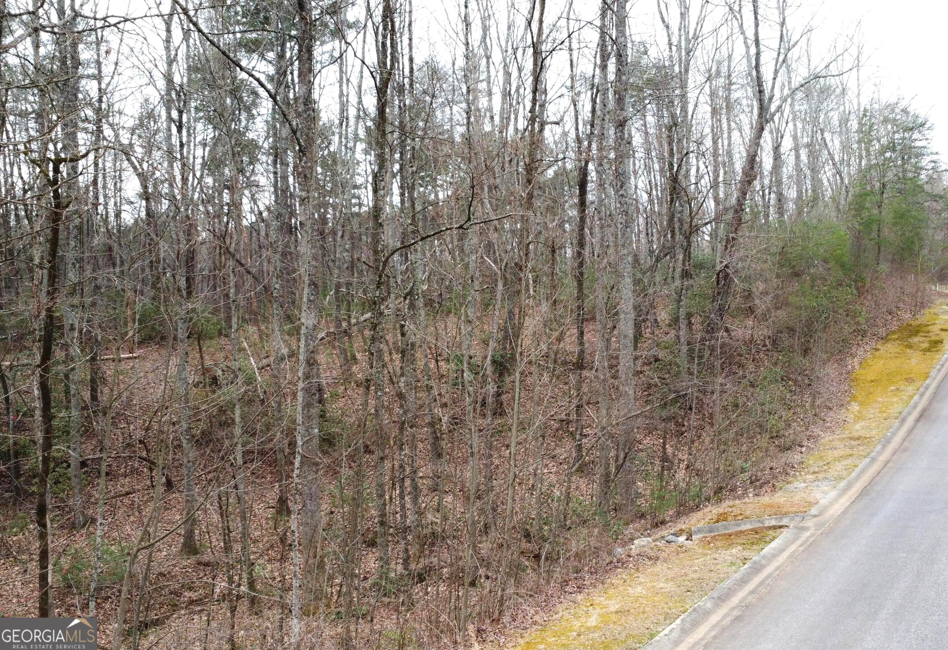 LOT 1446 Glazenwood DR