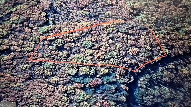 LOT 82 Baltusrol RUN