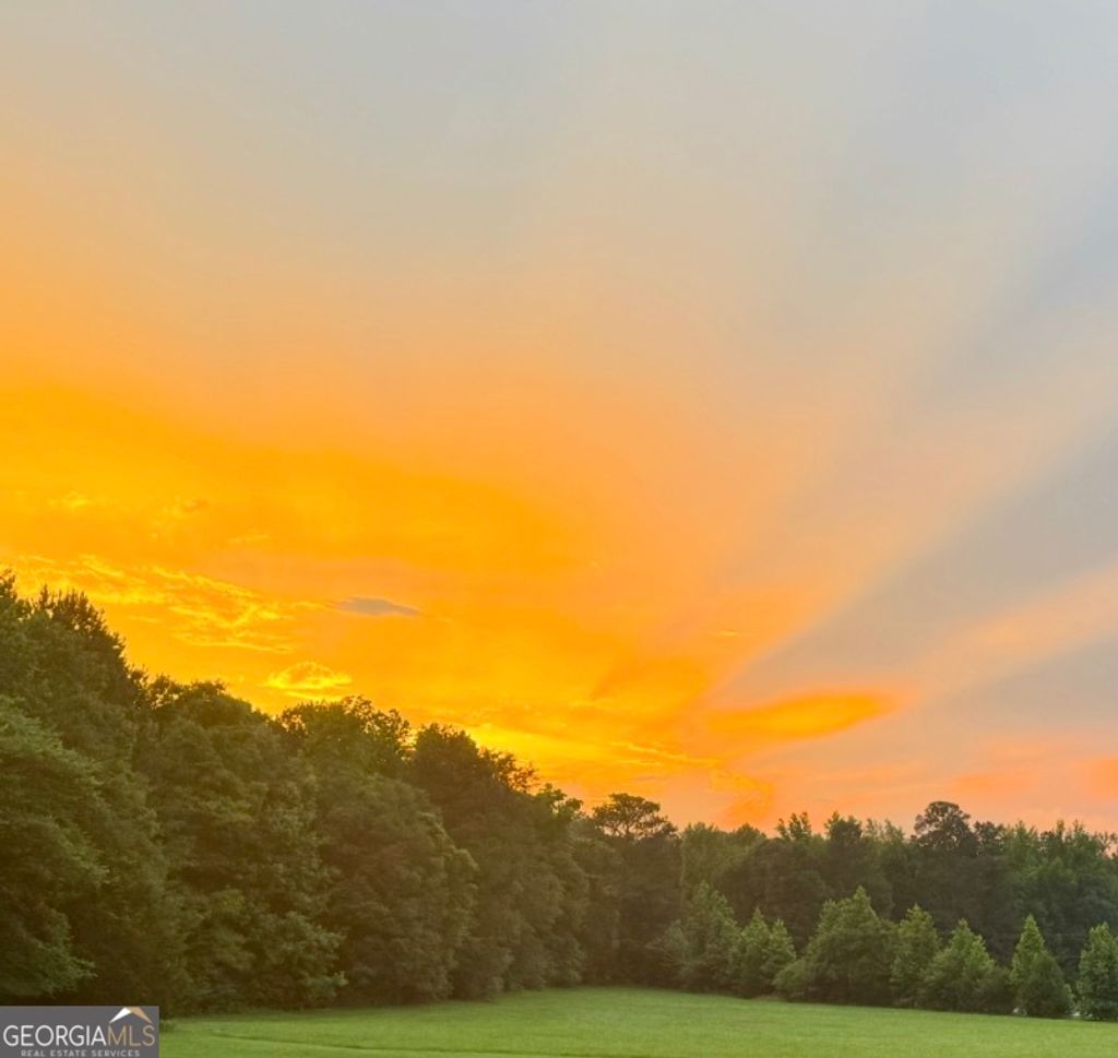 Photo of 0 Willowood Road, LaGrange, GA 30241 (MLS # 10801026)