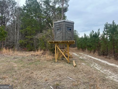 Photo of 160 Landing Road, Sylvania, GA 30467 (MLS # 10715687)