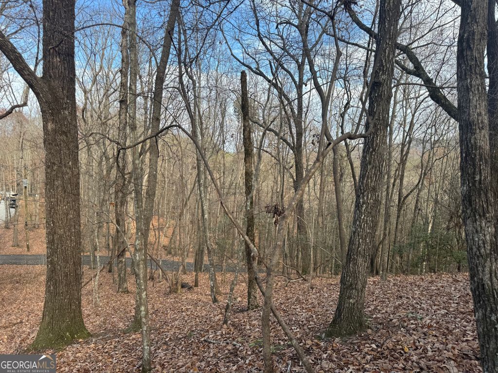 Photo of 0 Geneva Place, Sautee Nacoochee, GA 30571 (MLS # 10782343)