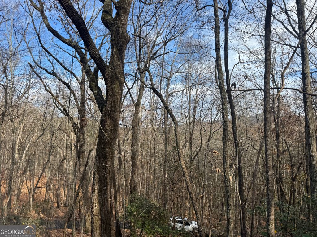 Photo of 0 Geneva Place, Sautee Nacoochee, GA 30571 (MLS # 10782343)