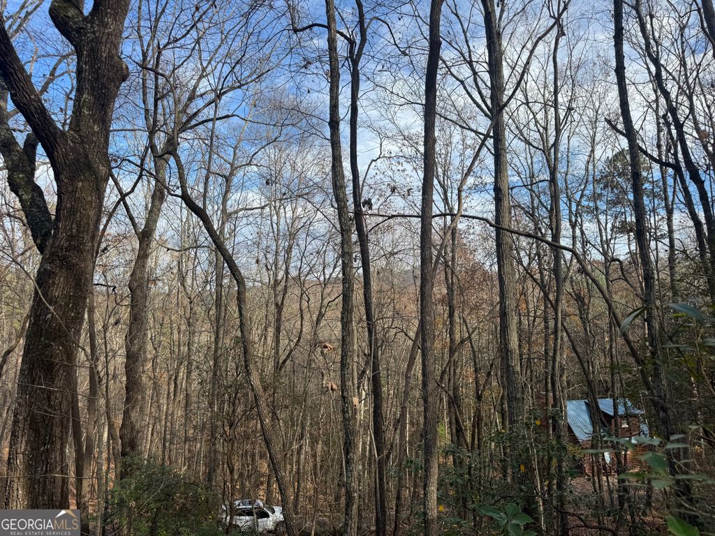 Photo of 0 Geneva Place, Sautee Nacoochee, GA 30571 (MLS # 10782343)