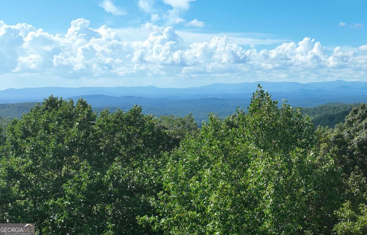 Long Range Views that could be unobstructed once your homesite is cleared. Gentle at the front allowing for an easy driveway and a nice building site. The terrain then turns to rolling slope that is perfect for a walk out basement. It then graduates to a steep slope opening up possibilities for those amazing views. Once you walk the lot you will be able to see the view potential. Located at the end of a peaceful road and deep in the middle of the beautiful community of Falling Waters, you'll be situated to enjoy the sounds of nature. You'll love this gated subdivision with easy to navigate wide paved roads, quaint fishing lake, hiking path alongside a crashing creek, and so much more. Perked, underground electric, phone, cable, and fiber optic internet at the road front. Already has a 911 address: 194 Highline Drive. The terrain photos are approximation only by using GPS to help gain a rough idea of the lay of the land. The view photos were droned just above the treetops to help you visualize some possibilities only. Custom home design and vista pruning must be approved by HOA Architectural committee. HOA, gated, all buyers must be with an agent. No rentals.