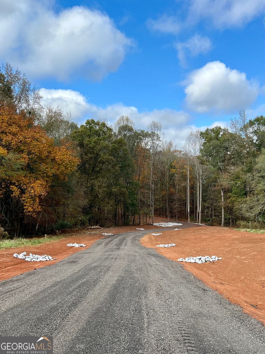 Beautiful 3.963 acre tract right outside of Jersey! Survey is in the documents. Level 2 Soil test already completed. No HOA. Covenants on land due to the Watershed P2 zoning. Walton County water and Covington Power available. No gas available however you can bury a propane tank. School district one time pick from Social Circle or Walnut Grove. Seller installed a driveway for access, created the creek crossing and ran the electric down past the creek! Driveway easement in place. Lot 1-D is also for sale. Last lots left!! Private and beautiful!