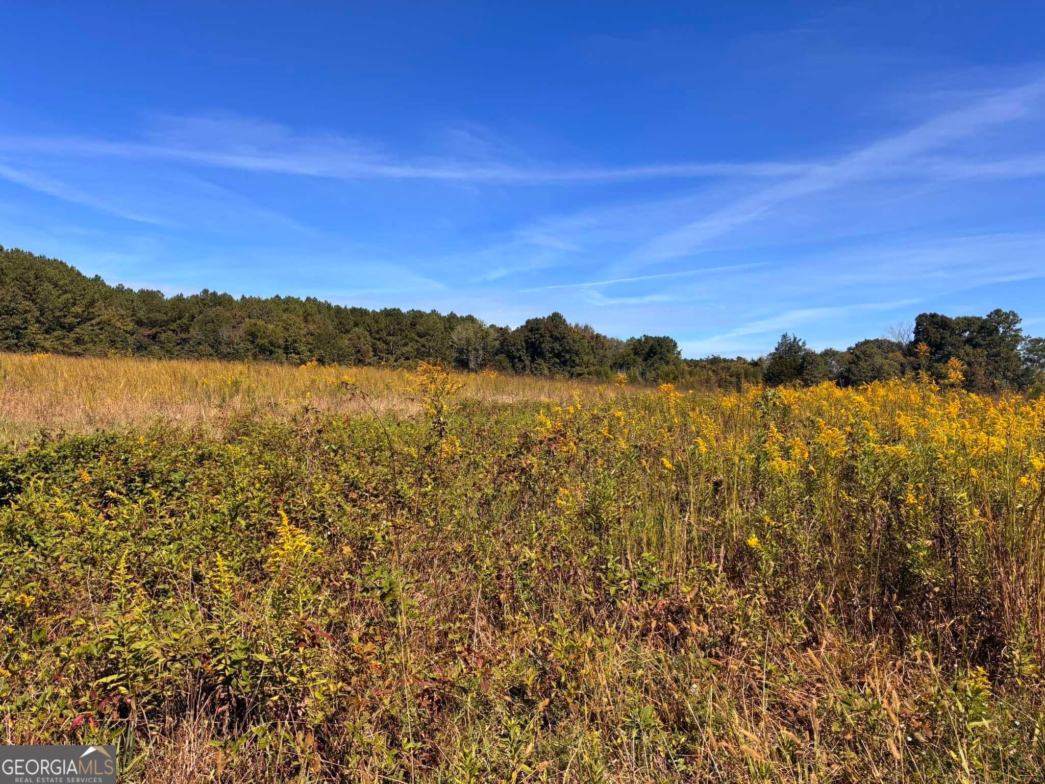 36.55 ACRES Back Valley RD