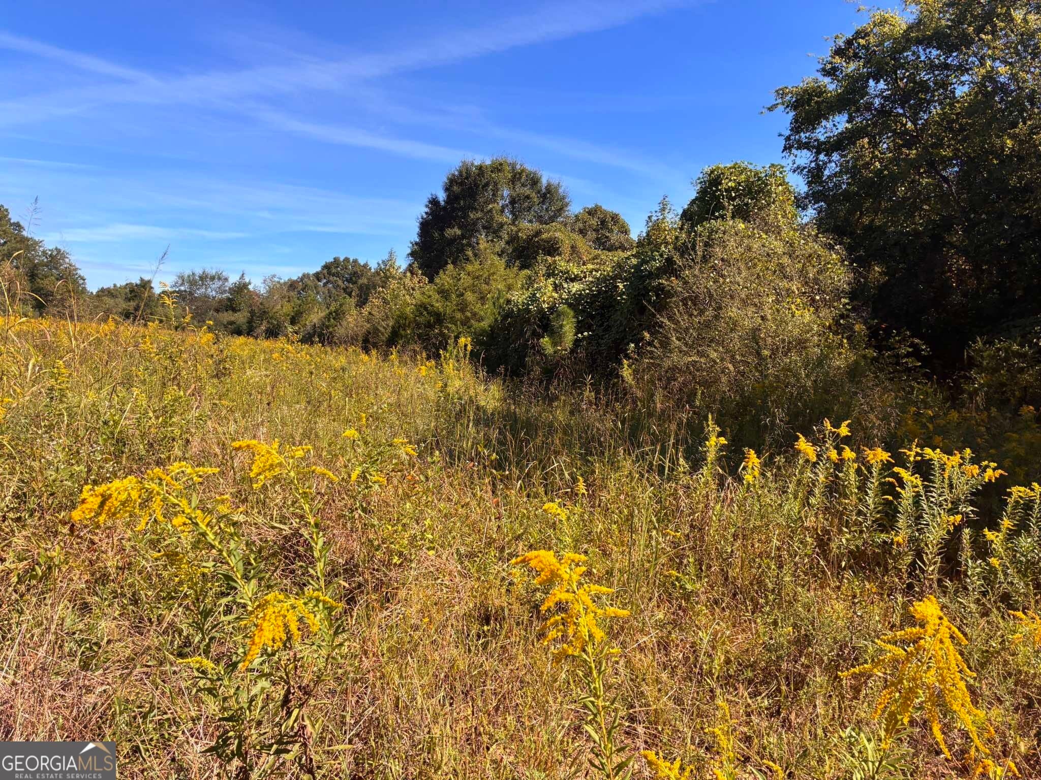 36.55 ACRES Back Valley RD