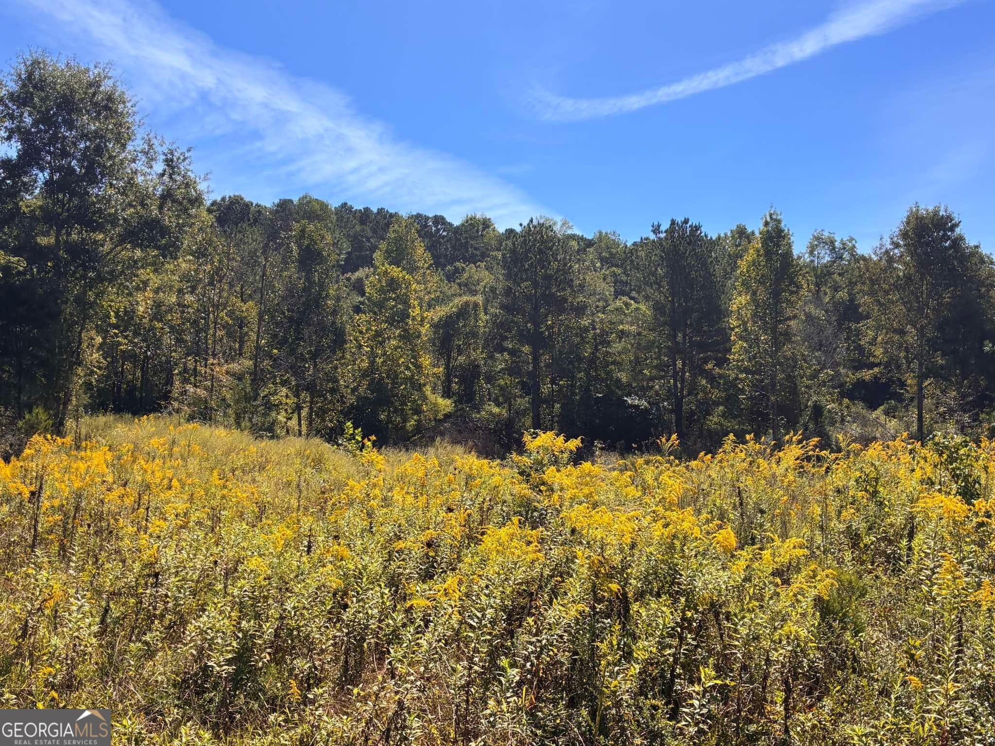 36.55 ACRES Back Valley RD