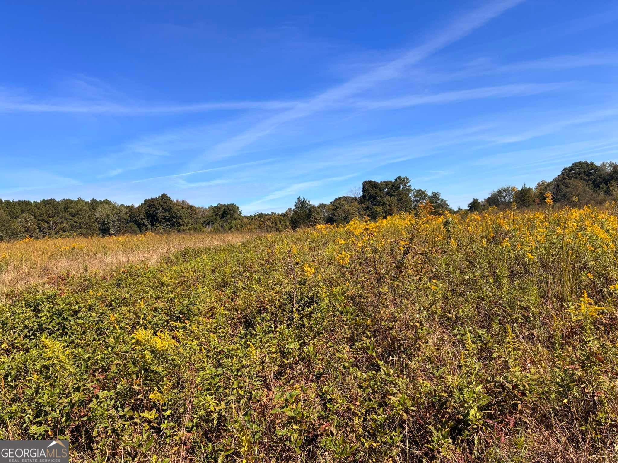 36.55 ACRES Back Valley RD