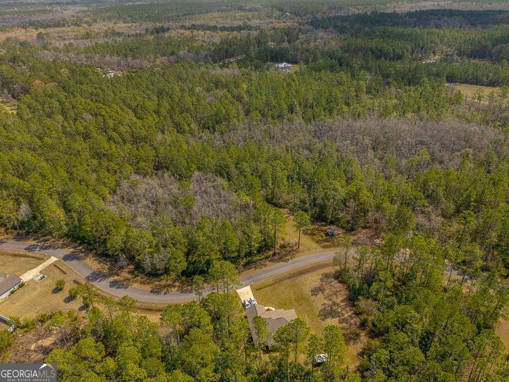 Photo of 120 Carolwoods Drive, Brunswick, GA 31523 (MLS # 10679040)